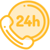 24/7 Professional Support